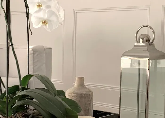 Apartamento Croisette Luxury Retreat